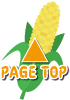 page-top